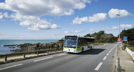 Vehicule Lila Presqu'île
